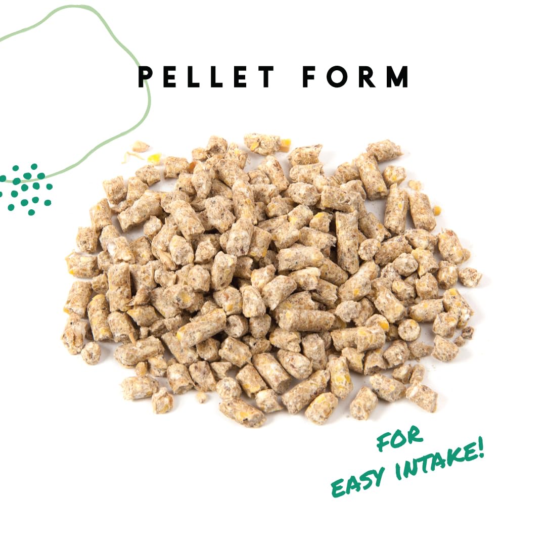 Manna Pro Layer Pellets Chicken Feed, 16% Protein Complete Feed for Laying Hens with Probiotics for Digestive Health, Nutrient-Rich Chicken Food Pellets for Egg Production, Made in USA, 8 lb Bag
