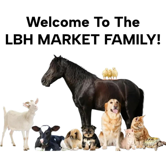LBH MARKET Valbazen Drench Gun with Tubing Dewormer Drench Gun for Goats Sheep 15 ML for 1 Liter Liquid Sheep Dewormer/Goat Dewormer Works with Valbazen, Cydectin, Safeguard Dewormer