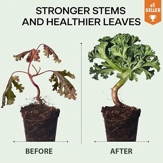 𝐒𝐔𝐏𝐄𝐑𝐈𝐎𝐑 Liquid Silica Boost Fertilizer and Supplement Spray for Citrus Tree Plants – Pre-Mixed, Ready-to-Use Liquid Silicon Plant Superfood Mist for Indoor & Outdoor Plants – 8oz