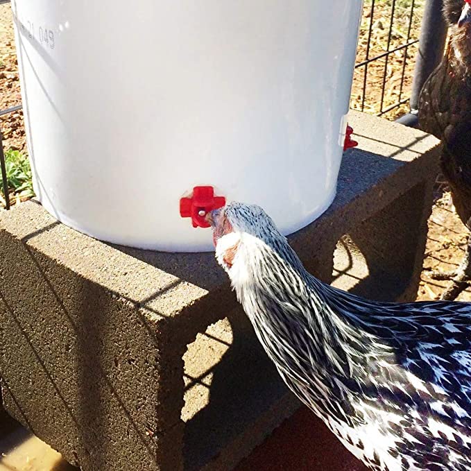20 Pack Horizontal Chicken Nipples Waterer - Automatic Chicken Water Feeder, Easy Install Poultry Nipples Horizontal Side Mount Drinkers or Quail Duck