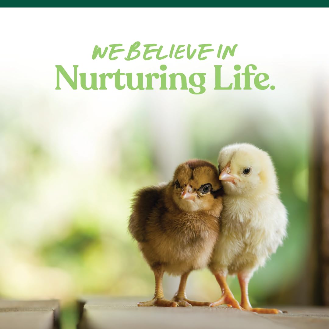Manna Pro Medicated Chick Starter Grower - Crumbled Chick Feed - Feed for Young Chickens - 6-Pack of 5lbs