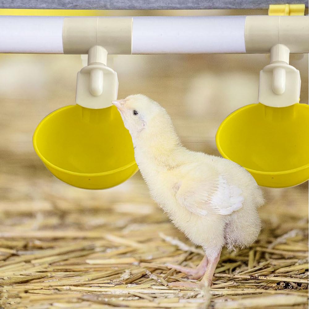 Complete Set Pipeline Automatic Chicken Watering System, 1/2" PVC Tee Fittings & PVC Pipe & Garden Hose, Chicken Water Cups, Poultry Waterer, Automatic Chicken Waterer, Chicken Nipple Waterer