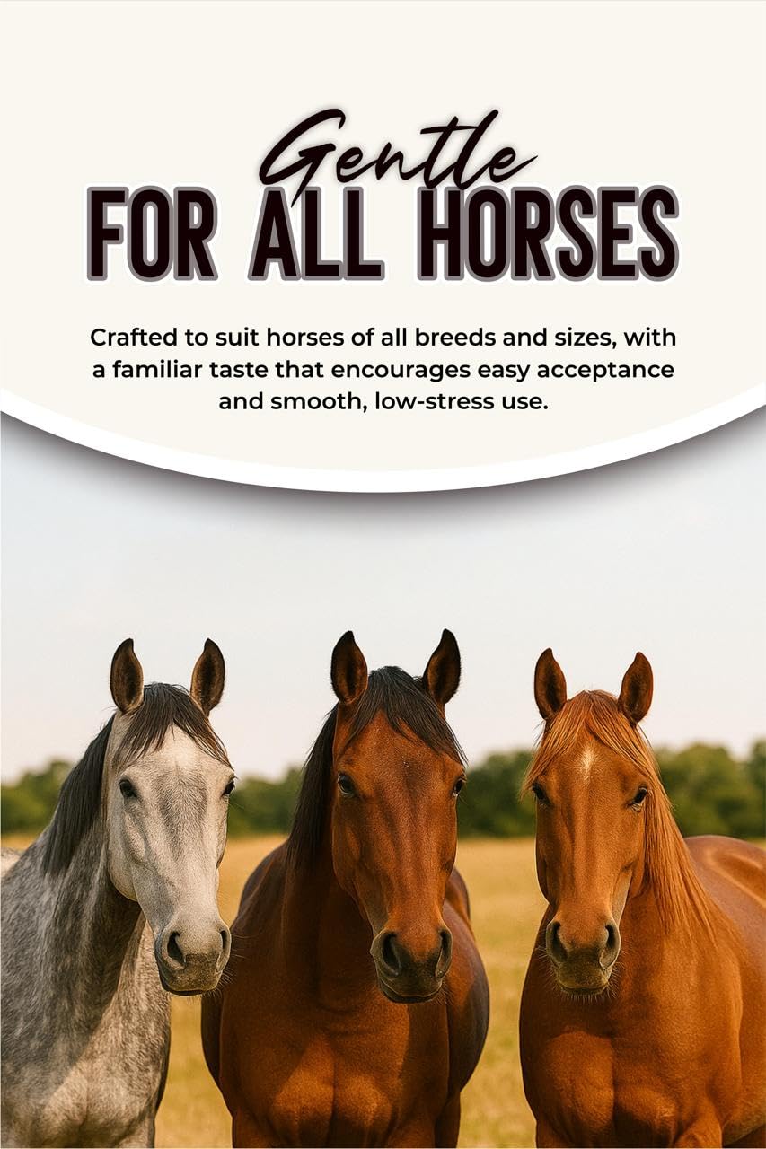 CLENVIA Horse Paste 1.87% – Apple Flavored Wormer – 6.08g Tube – Treats Up to 1250 lb (4 Pack)