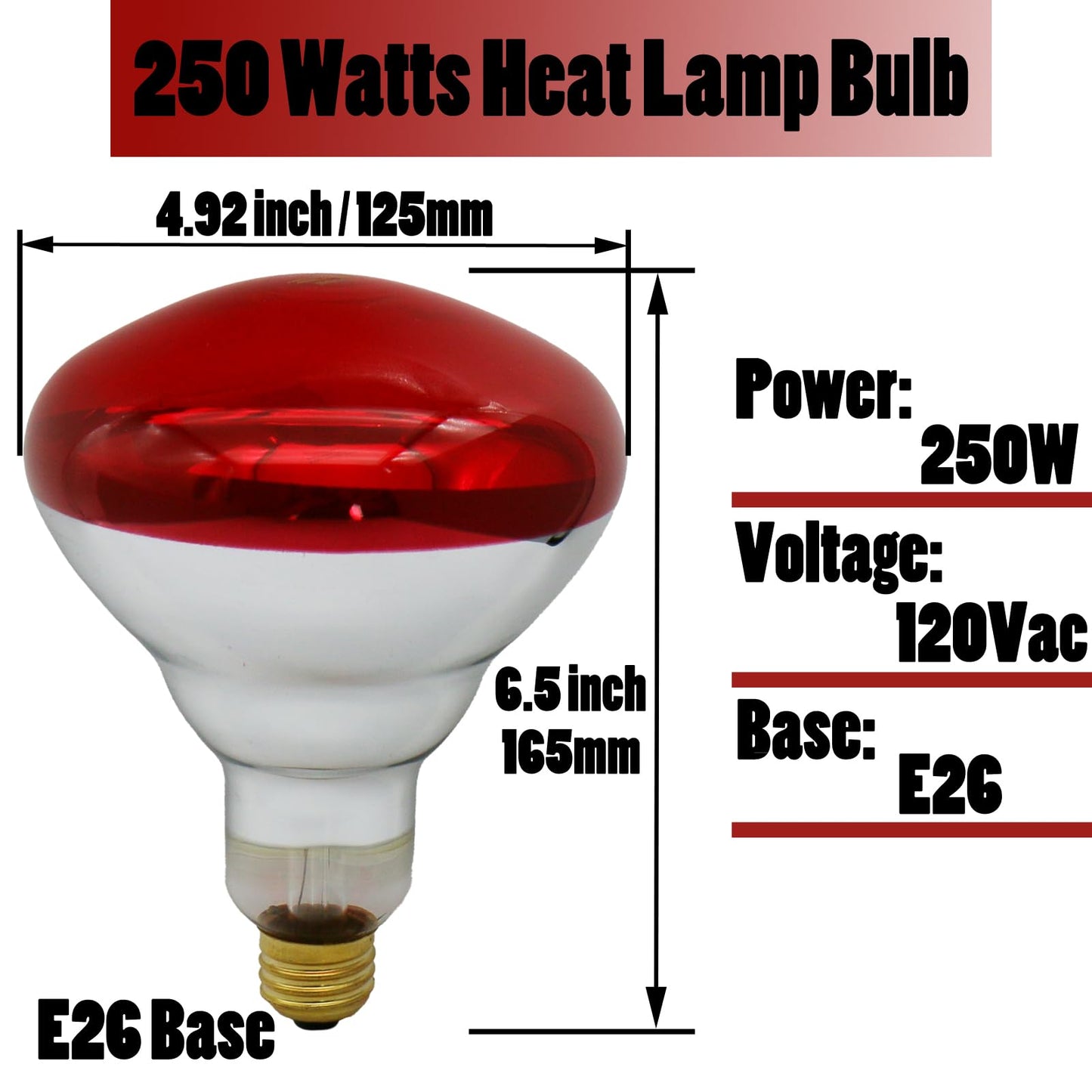 250 Watts Infrared Heat Lamp Bulbs, R40 Red Heat Light Bulb E26 Base for Chickens, Brooder Coop Heater, Reflector Heating Bulb for Food Service, Pet, Reptiles, Bathroom, Light Therapy, 2 Pack
