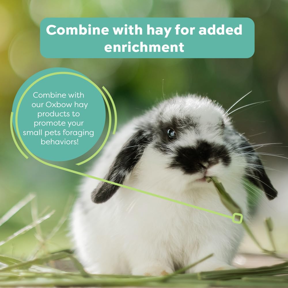 Oxbow Hay Toppers Garden Blend, Bunny Treats, Foraging Enrichment for Rabbits, Chinchillas, Guinea Pigs, and Other Small Herbivores, Timothy Hay Topper, Premium Rabbit Food Additive, 2oz