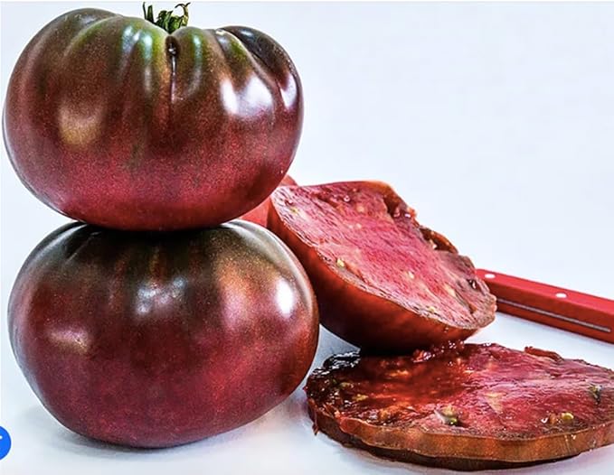 Black Brandywine Heirloom Tomato Seeds - Large Tomato - One of The Most Delicious Tomatoes for Home Growing,