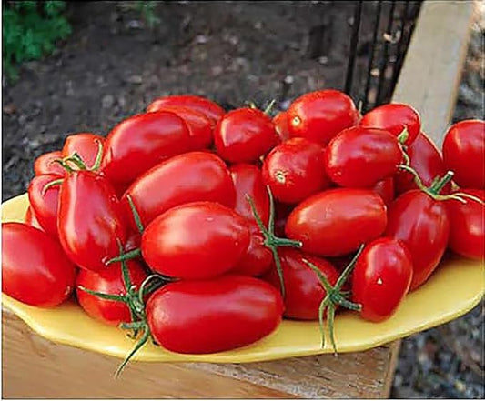 Juliet Tomato Seeds - Rare Hybrid of Plum and Roma Tomatoes - Delicious Sweet Snack! - Marde Ross & Company®