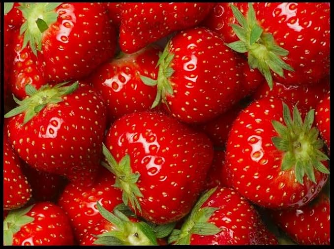 1,000 Strawberry Seeds for Planting - Perpetual Strawberry Four Seasons Strawberry Seeds for Planting