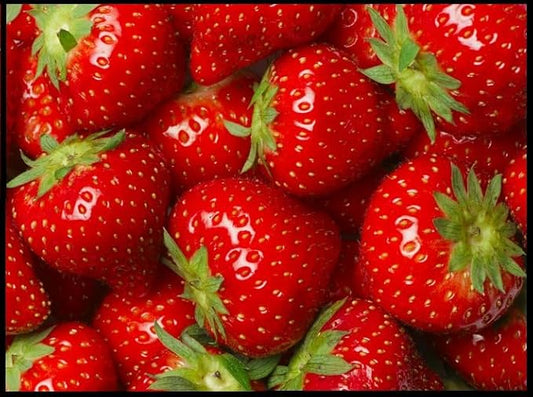1,000 Strawberry Seeds for Planting - Perpetual Strawberry Four Seasons Strawberry Seeds for Planting