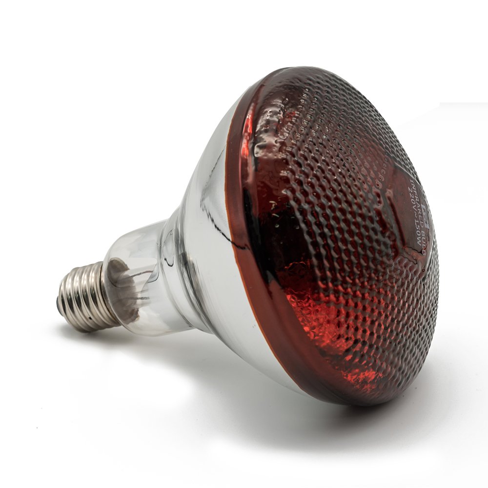 Fengrun Infrared Heat Lamp Waterproof Anti-Explosion Light Bulb for Piglet Chicken Duck Birds(250w,120v)