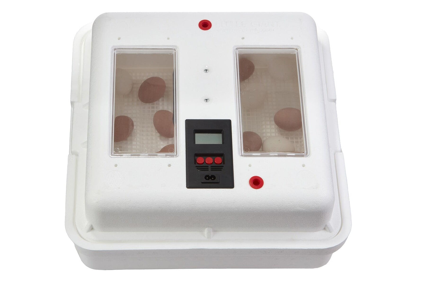 Little Giant® Digital Circulated Air Incubator | 41 Eggs | Egg Incubator with Fan, Temperature and Humidity Control | Hatching Eggs