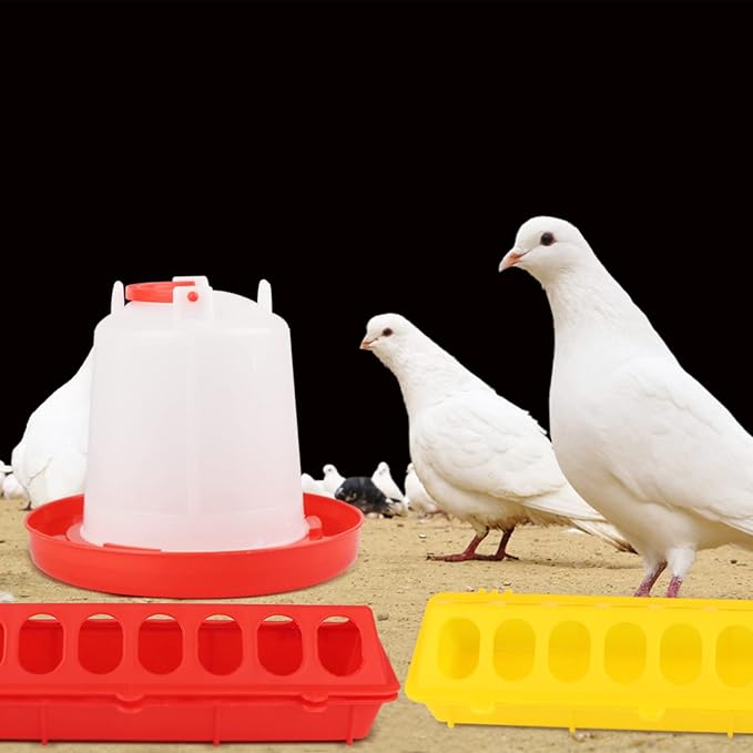 6 Pack Chick Feeder Waterer Hanging Poultry Feeder Kit for Pigeon, Chick, Duckling, Quail (1 L)