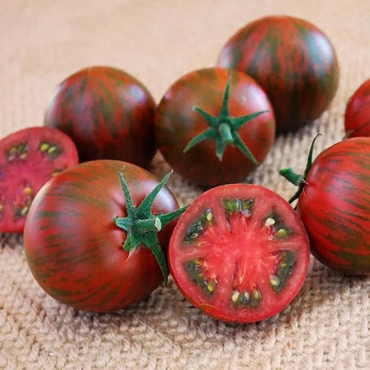 Park Seed Cherry Tomato Seeds, Planting Vegetables, Easy to Grow, Non-GMO, Variety of Colors and Sizes, Spring Garden, Purple Zebra, Pack of 10