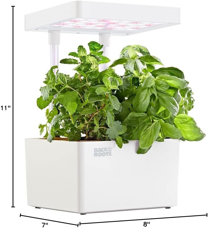 Back to the Roots v1.0 Hydroponic Grow Kit, 2022 Model (Pack of 4)