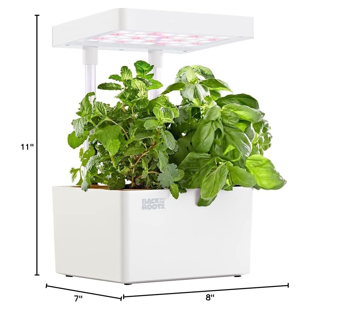 Back to the Roots v1.0 Hydroponic Grow Kit, 2022 Model (Pack of 4)
