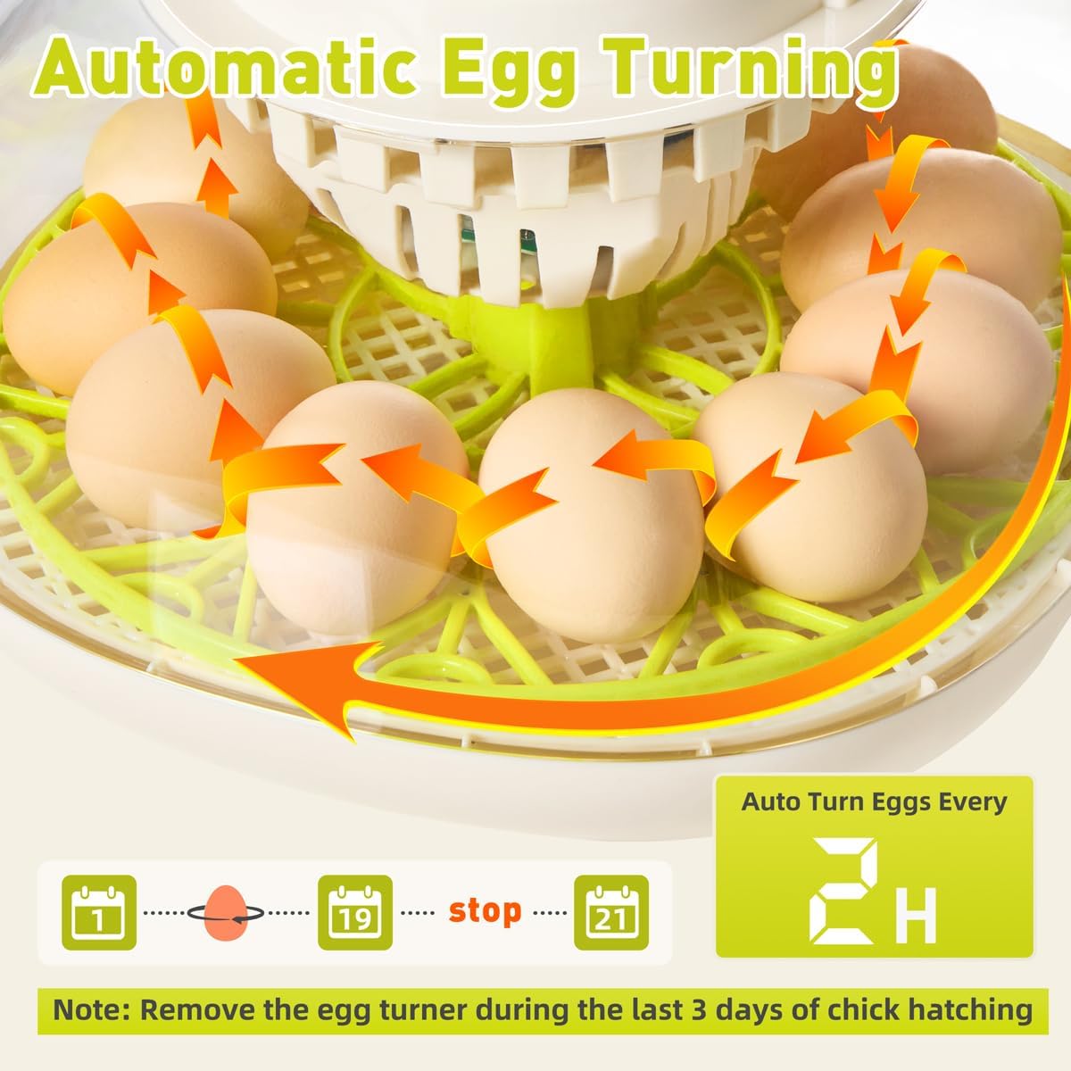 Incubators for Hatching Eggs, 12 Egg Incubator with Automatic Egg Turning and Humidity Control, Incubator for Chicken/Quail/Duck Eggs with Temperature Control/LED Egg Candler, 360 Degree View