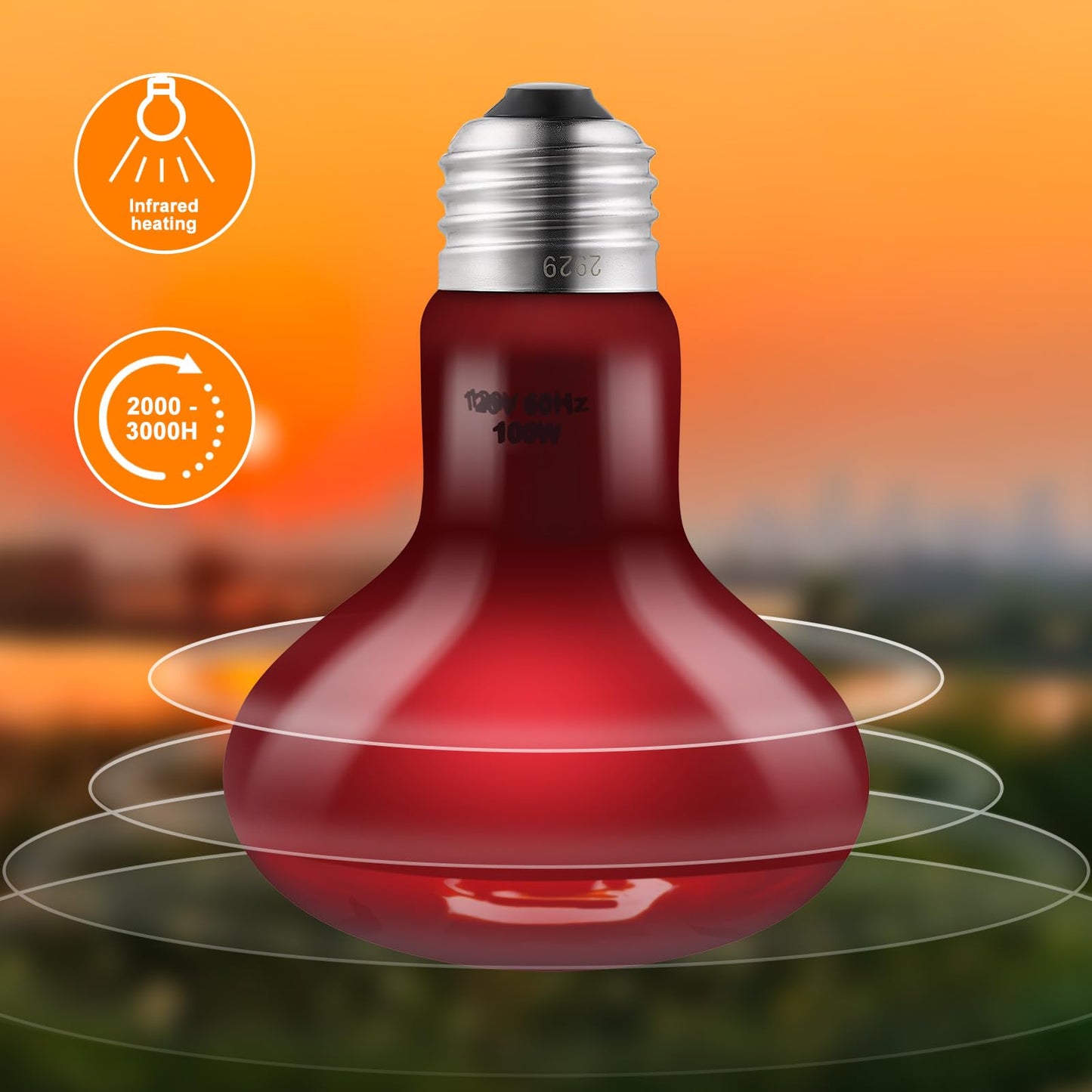 DXOPHIEX 2 Pack 100W Reptile Heat Lamp Bulbs Reptile Heat Bulbs, UVA Basking Bulb and Infrared Light Bulb Combo, Basking Light for Bearded Dragon, Turtles, Snake and Lizard