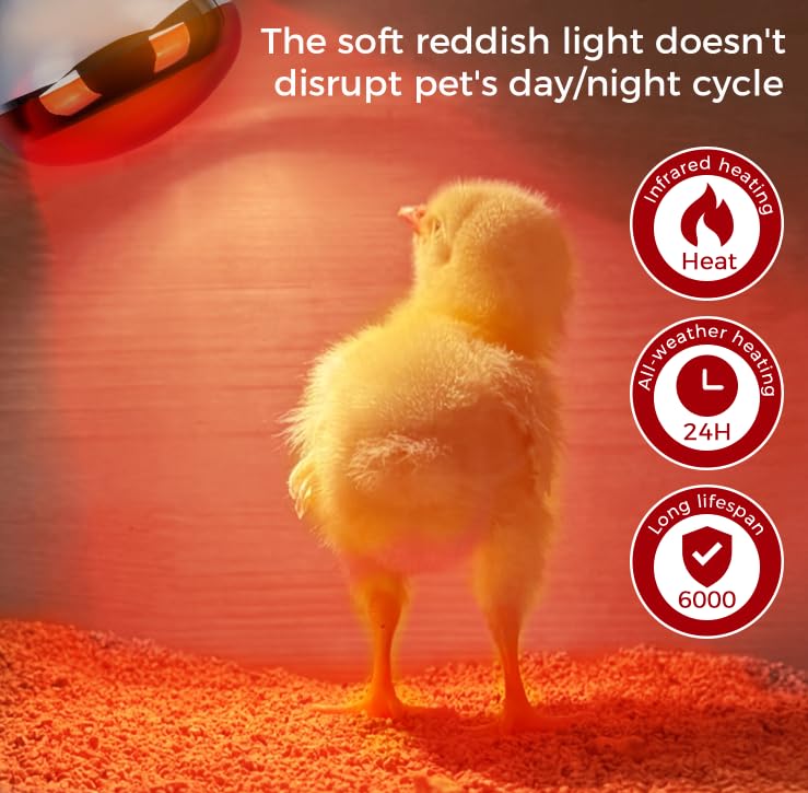 MISDOOD Infrared Heat Lamp 250 Watt 2 Pack, 120v R40 Incandescent Heating Bulbs for Reptiles Chicks Food Puppies Bathroom, E26 Base, Red