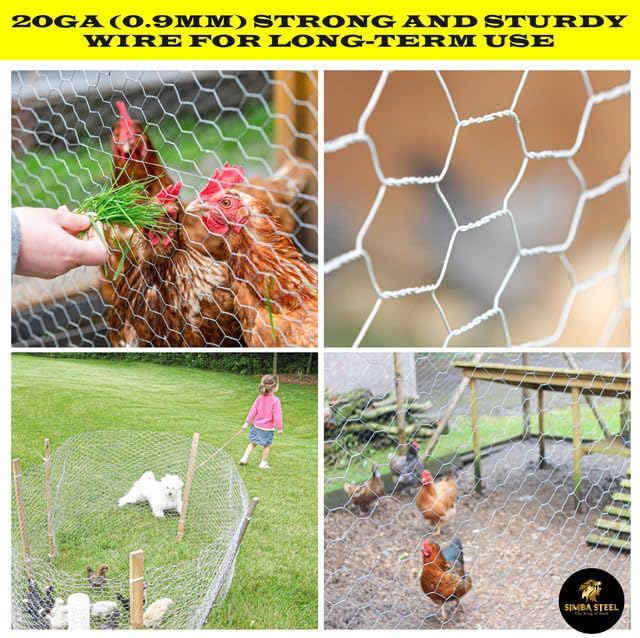 Chicken Wire 12 in x 25 FT x 2” Mesh x 20GA | Poultry Wire Netting | Hot Dipped Galvanised | Hexagonal Galvanized Mesh for Chicken Coop, Rabbit Cage, Fence Barrier PM12x25x2