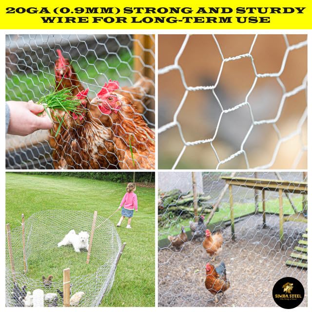 Chicken Wire 12 in x 25 FT x 2” Mesh x 20GA | Poultry Wire Netting | Hot Dipped Galvanised | Hexagonal Galvanized Mesh for Chicken Coop, Rabbit Cage, Fence Barrier PM12x25x2