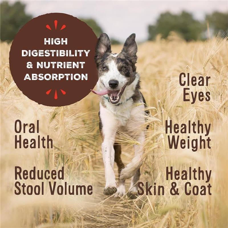 Primal Freeze Dried Dog Food Nuggets, Chicken; Complete & Balanced Meal; Also Use as Topper or Treat; Premium, Healthy, Grain Free, High Protein Raw Dog Food, 14 oz (Pack of 2)