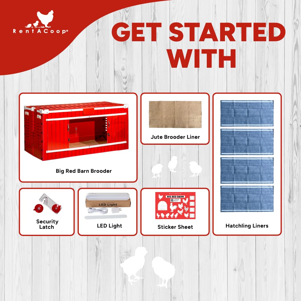 RentACoop Big Red Barn Chick Brooder with Absorbent Hatchling Liners, Jute Liner, LED Light, Security Latch