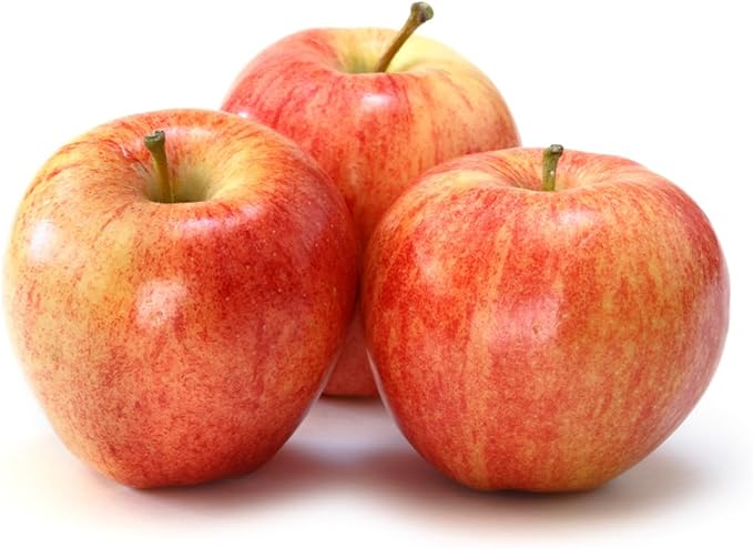 American Plant Exchange Live Gala Apple Tree, Fruit-Bearing Plant Pot for Harvest and Home and Garden Decor, 2-3' Tall, 1-Gallon Pot