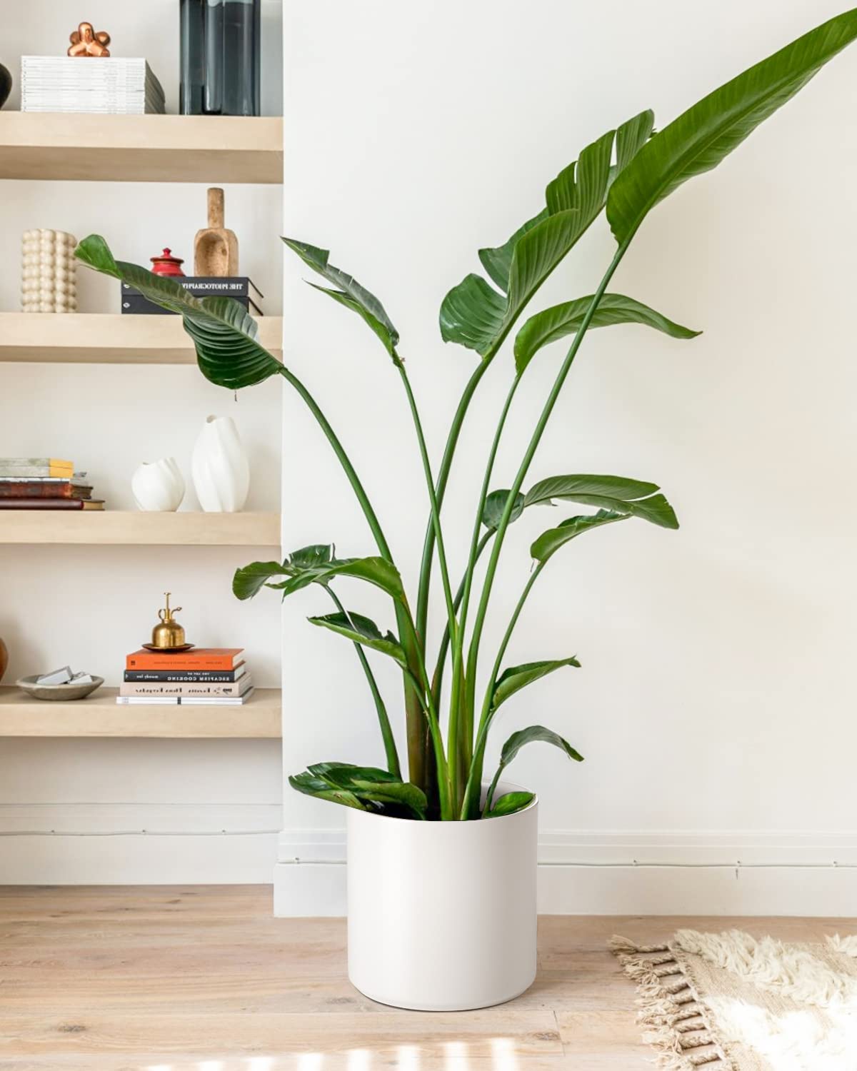 LE TAUCI Large Plant Pots Set, 12/10/8/6 Inch Ceramic Planters for Indoor Plants, Mid-Century Modern Flower Planter Pots with Drainage Hole and Plug, Cylinder Round Planter Pots, Set of 4, White