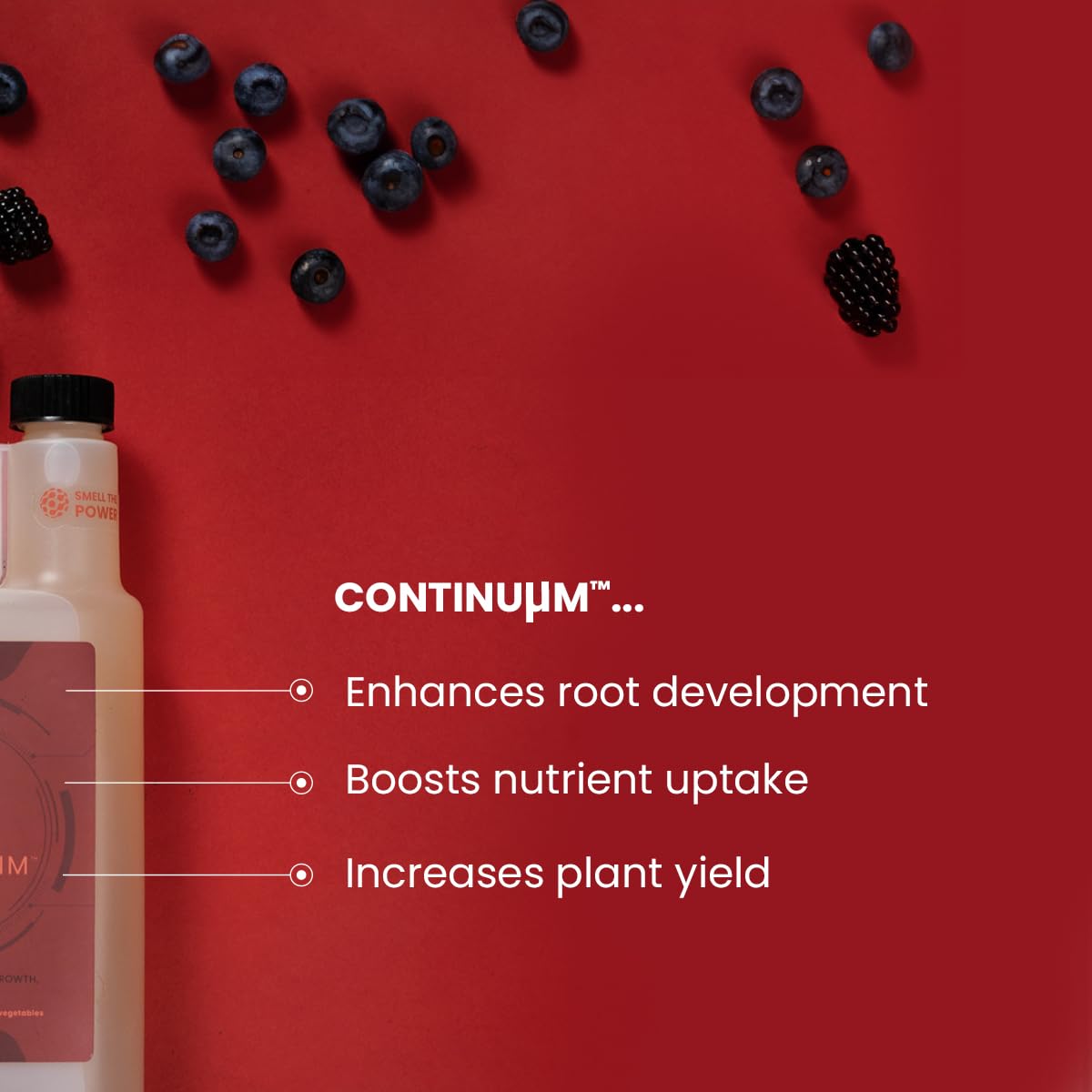 Continuum All-Natural Root Booster & Plant Probiotic |Boosts Growth, Root Development, Soil Health & Yields |Beneficial Bacteria Supplement for Strong, Healthy Plants|Gardens, Lawns, Medicinal & Hydro