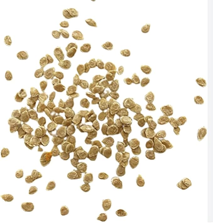 Constoluto Tomato Seeds - Large Ribbed Tomato - One of The Most Delicious Tomatoes for Home Growing,