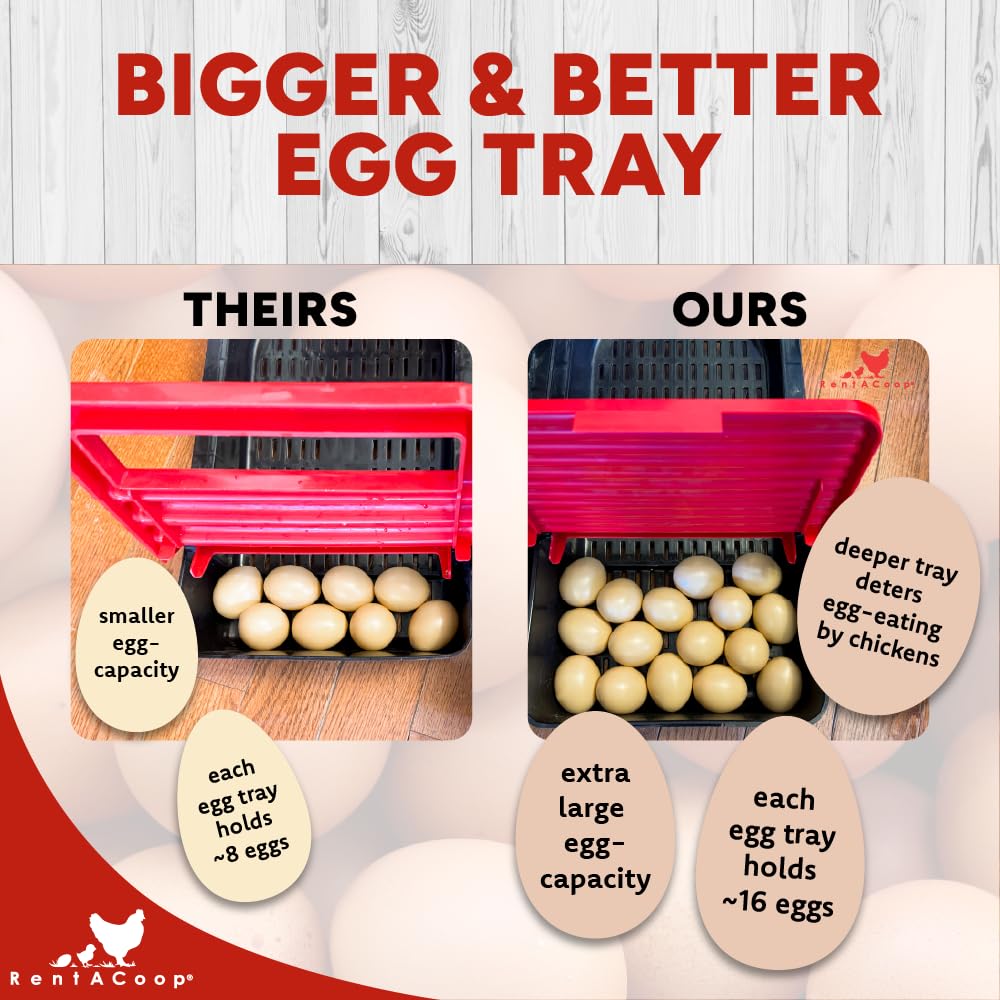 RentACoop Roll-Out Reversible Nesting Box Efficiency (One Compartment) for Chickens, Ducks, Poultry