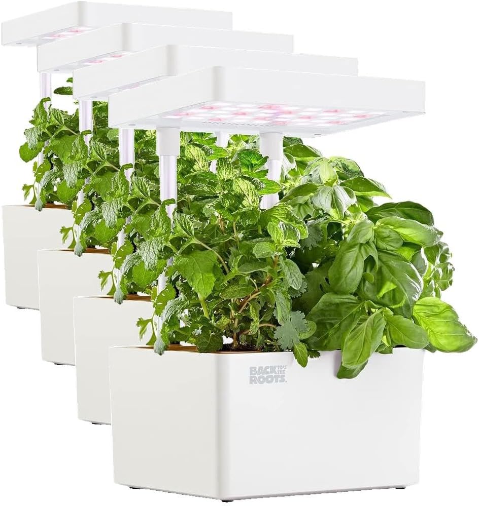 Back to the Roots v1.0 Hydroponic Grow Kit, 2022 Model (Pack of 4)