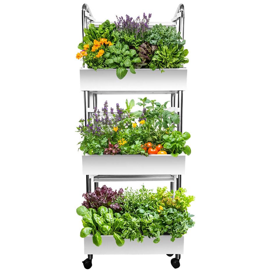 Hydroponics Growing System Plant Germination Kits Hydrophonic Planter for Indoor Garden Vegetable Herb Microgreens Growing Aerogarden Gardening 6 Large Pods(≈ 5X Small Pods)