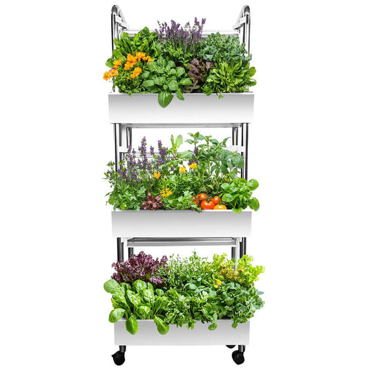 Hydroponics Growing System Plant Germination Kits Hydrophonic Planter for Indoor Garden Vegetable Herb Microgreens Growing Aerogarden Gardening 6 Large Pods(≈ 5X Small Pods)