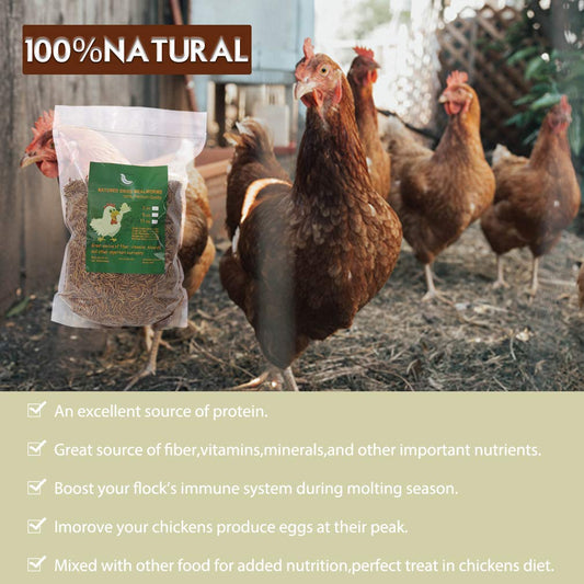 WAMSOFT Non-GMO Dried Mealworms,2LB 100% Natural Large Size No Moisture,Treats for Birds Chickens Hedgehog Hamster Fish Reptile Turtles