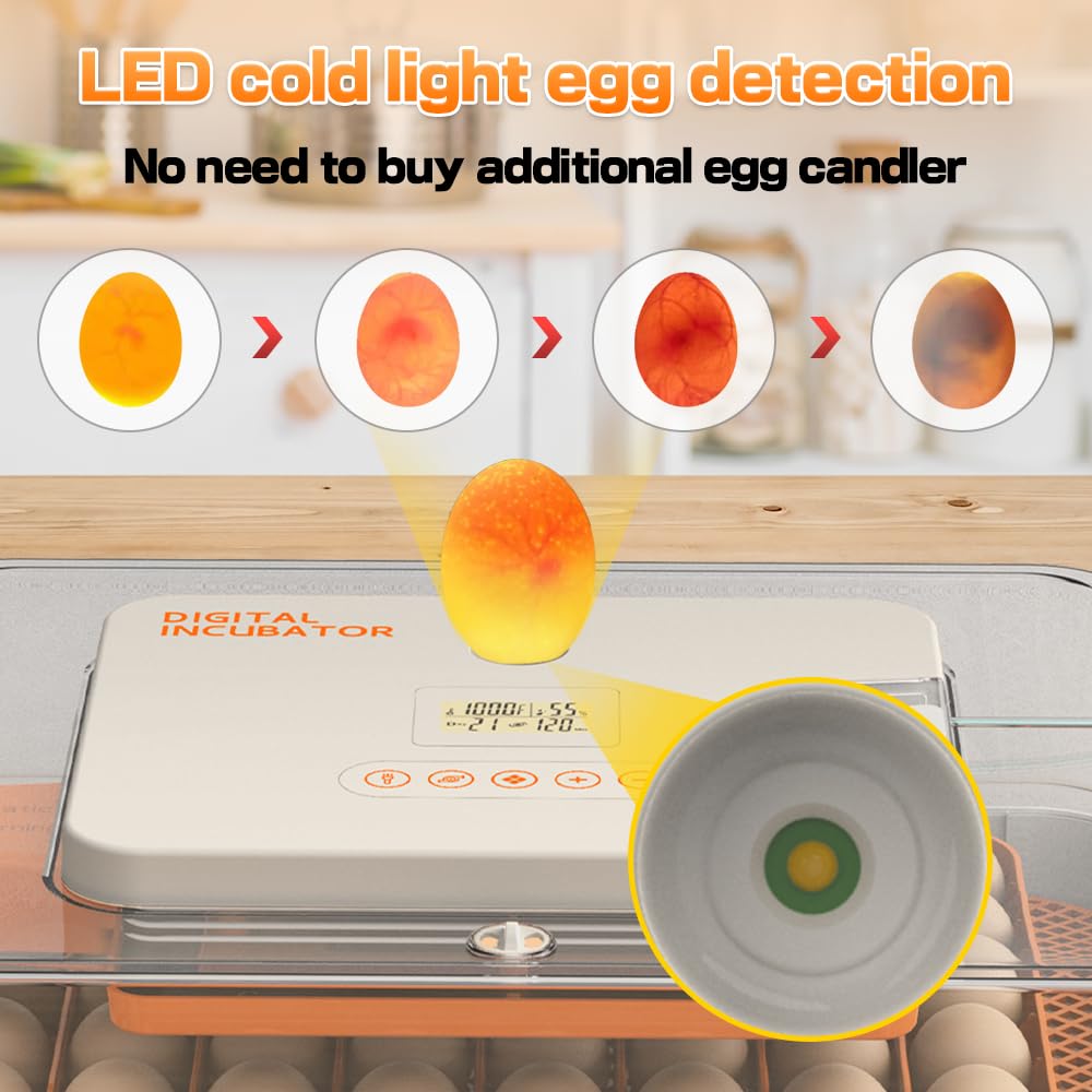 HOWOOlUA 56 Egg Incubator for Hatching Eggs with Auto Turn, Temp & Humidity Control, Built-in Candler Large Capacity Egg Incubator for Chicken Duck Goose Eggs