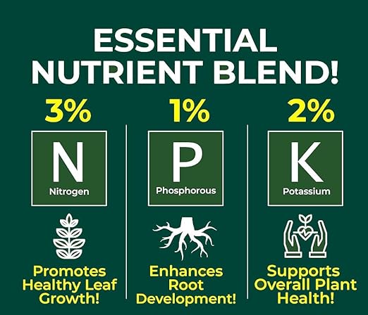 Gardenera Proffesional Citrus Tree Spray Fertilizer Mist for Home Gardening | 3-1-2 Gentle Blend Mist for Healthy Leaves & Growth | Essential Nutrients for Citrus Tree - 8oz