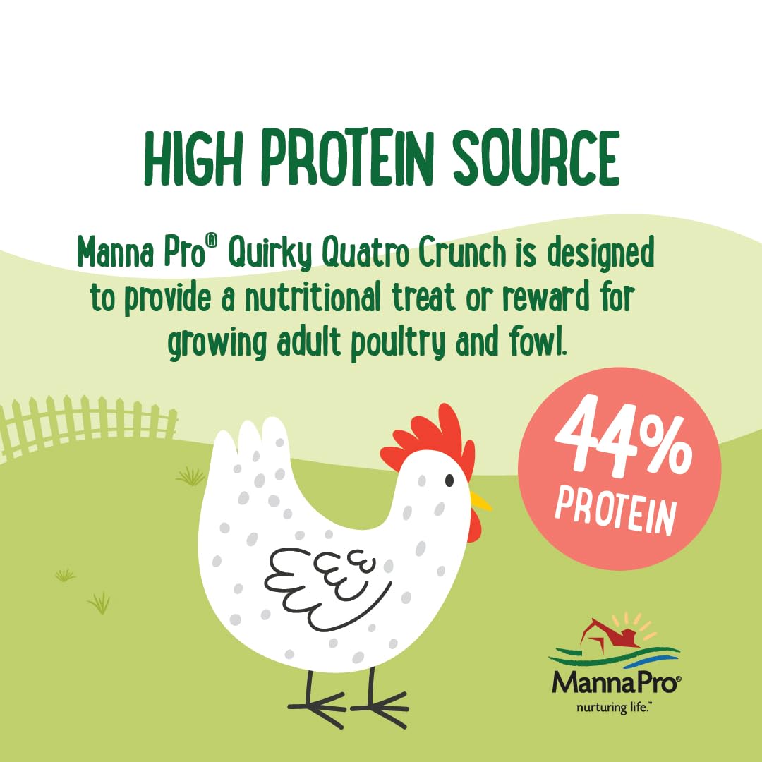 Manna Pro Farmhouse Favorites Quirky Quatro Crunch – 100% Natural Protein Treat for Mixed Flocks – Blend of Black Solider Fly Larvae, Mealworms, Beetles & Shrimp – 2lb