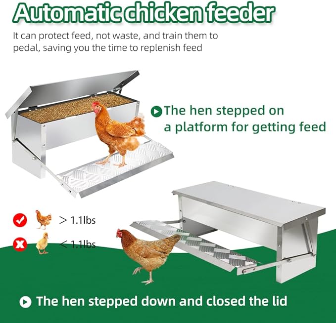 MODUODUO Automatic Chicken Feeder Treadle Poultry Feeders 11lb/5kg Feeding Trough for Chickens, Pheasants, or Roosters