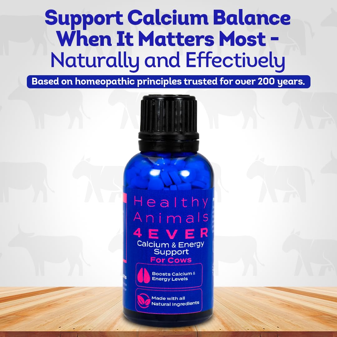 HA4E - Cow Milk Fever Support - Boosts Calcium & Energy Levels and Promotes Vitality & Alertness - All-Natural, Homeopathic Formula - 300+ Tablets