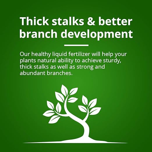 Humboldts Secret Tree Trunk | Potassium Silicate Additive | Liquid Fertilizer for Thicker Stalks, Stress Resistance & Branch Development | Indoor & Outdoor Plant Food, Hydroponic Nutrients, 8 Ounce
