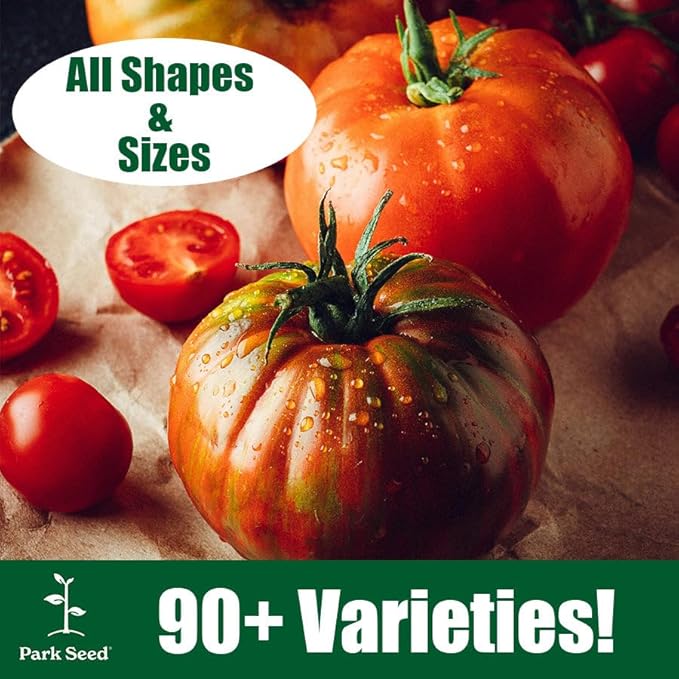 Park Seed Cherry Tomato Seeds, Planting Vegetables, Easy to Grow, Non-GMO, Variety of Colors and Sizes, Spring Garden, Red Torch, Pack of 10