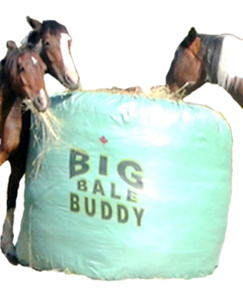 Big Bale Buddy - Small - The Ultimate Round Bale Hay Feeder, Preserves Hay, Prevents Waste, Durable in All Weather, Lightweight, Easy to Move, Safer for All Livestock & Horses
