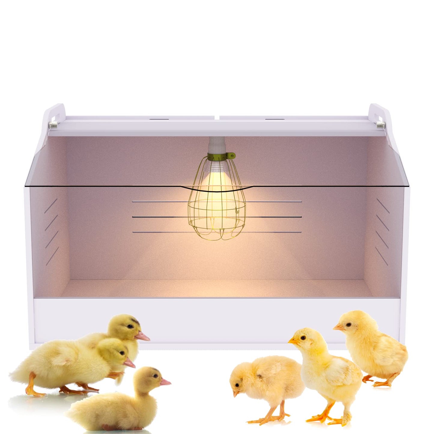 Meuiosd Chick Brooder Box with Heat Lamp - Suitable for Chicks, Ducks, Parrots & Lizards (19" X 12" X 12")