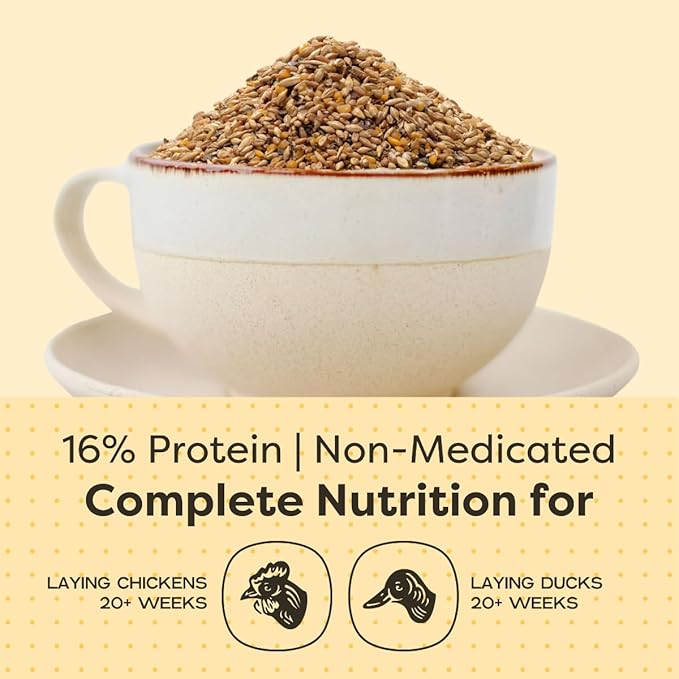 Scratch and Peck Feeds Whole Grain Layer Mash Chicken and Duck Feed - 40 lbs Bag - Corn-Free and Soy-Free - 16% Protein, Certified Organic and Non-GMO Project Verified Chicken Food