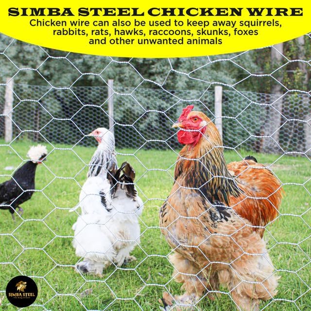 Chicken Wire 12 in x 100 FT x 2” Mesh x 20GA | Poultry Wire Netting | Hot Dipped Galvanised | Hexagonal Galvanized Mesh for Chicken Coop, Rabbit Cage, Fence Barrier PM12x100x2