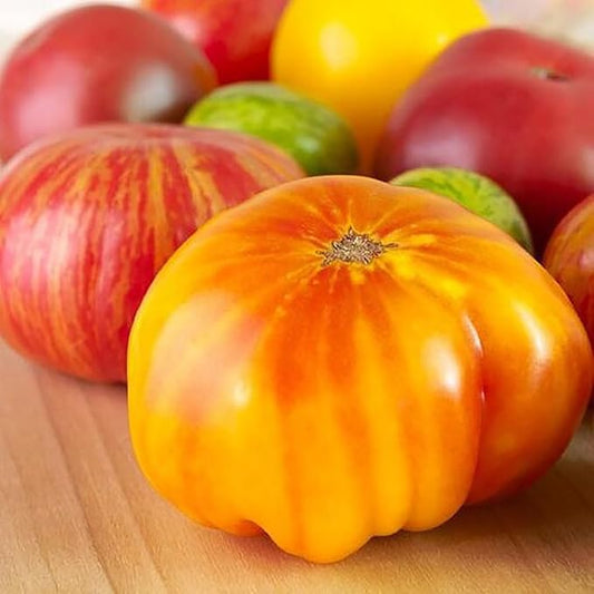 Hillbilly Potato Leaf Heirloom Tomato Seeds - Large Tomato - One of The Most Delicious Tomatoes for Home Growing,