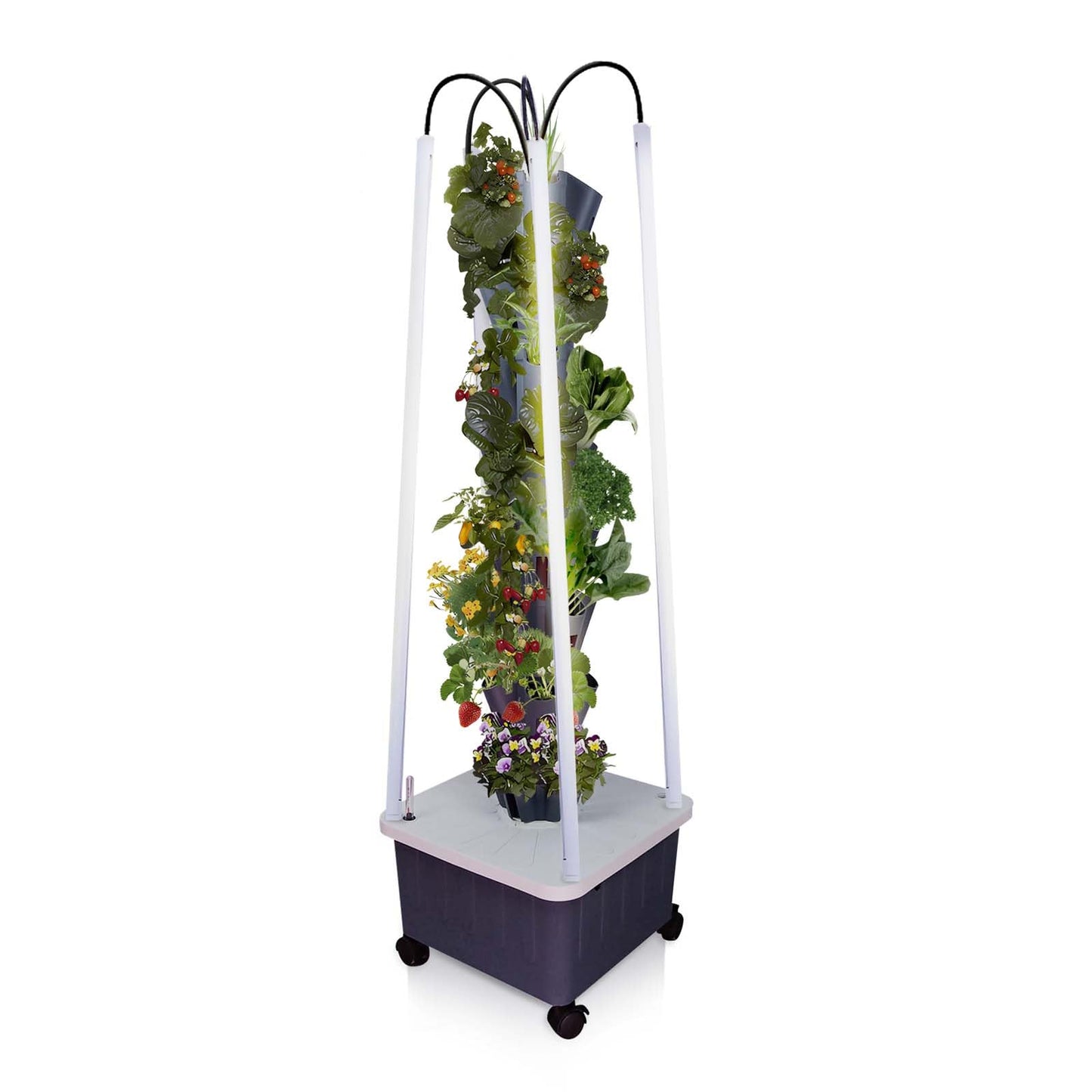 Hydroponic Growing System with Grow Lights, Indoor Gardening System, Grow Plant Food at Home with 40 Pieces at a time for Fruits, Vegetables, Herbs, and Miniature Greens (No Seedlings Included)