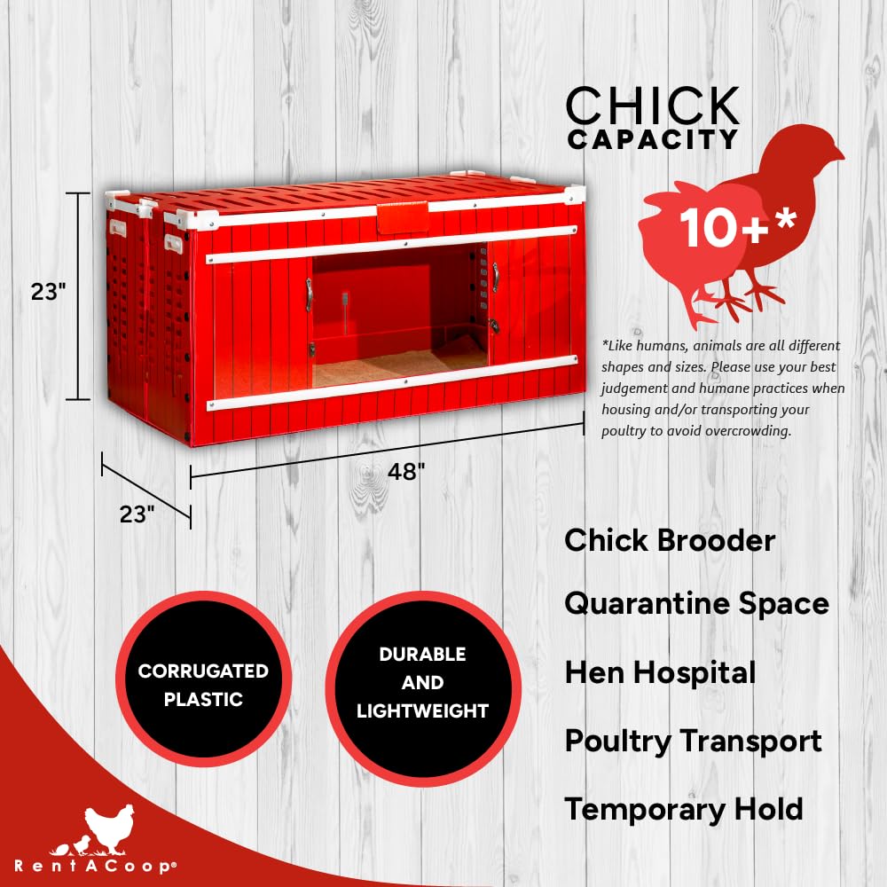 RentACoop Big Red Barn Chick Brooder Set with Heating Plate and Anti-Roost Cone, Two Chick Feeders, Two Chick Drinkers, Swing, Hatchling Liners, Jute Liner, LED Light, Security Latch