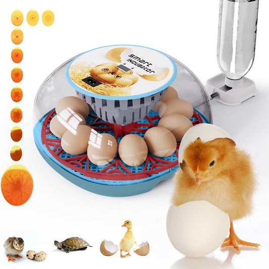 WONEGG incubators for Hatching Eggs，12 Egg Incubator,Egg Incubator with Automatic Egg Turning，Incubator for Chicken Eggs，Chicken incubators for Hatching Eggs，Quail Egg Incubator